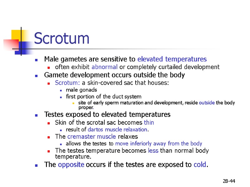 28-44 Scrotum  Male gametes are sensitive to elevated temperatures often exhibit abnormal or